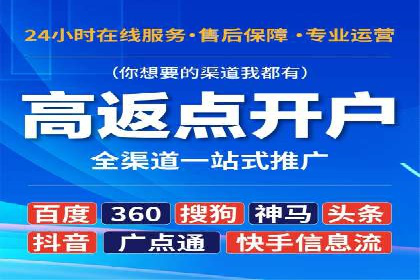 SEM代运营机构成功案例：优化策略与效果分析